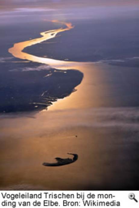 Vogeleiland Trischen bij de monding van de Elbe. Bron: Wikimedia