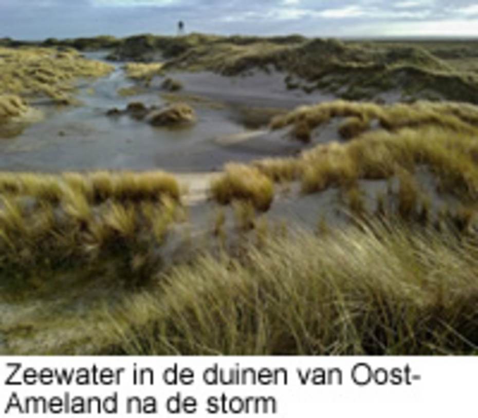 Zeewater in de duinen van Oost-Ameland. Foto: Erik van Dijk.