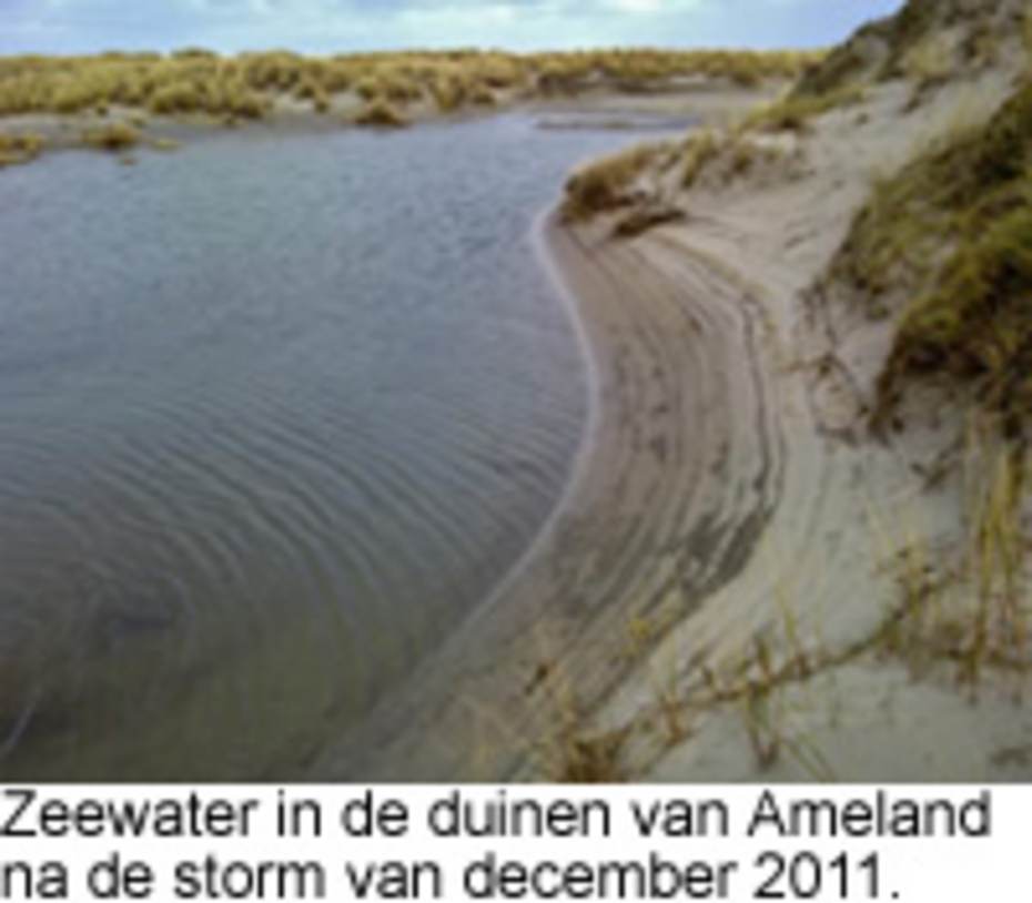 Zeewater in de duinen van Ameland na de storm van december 2011. Foto: Erik van Dijk.