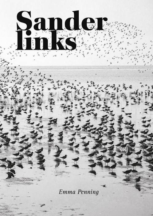 Proefschrift Emma Penning. Coverbeeld: Jan Veen