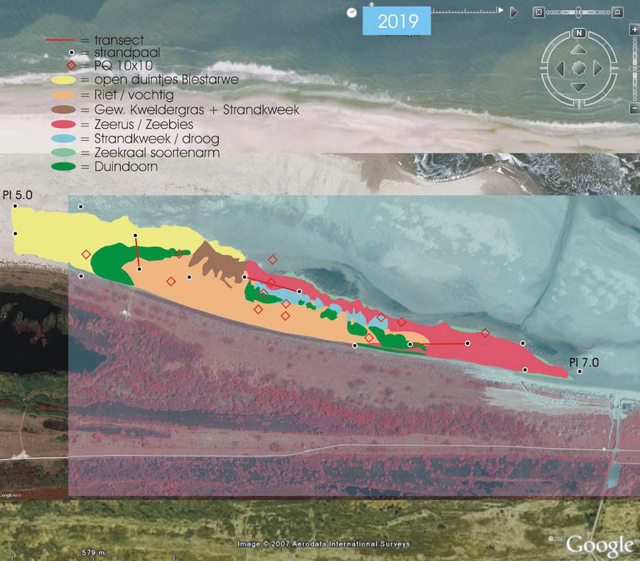 Vegetatiekartering van het Groene strand van Ameland in 2019. Figuur: Johan Krol.