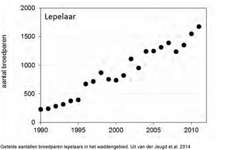 Getelde aantallen broedparen lepelaars in het waddengebied. Uit van der Jeugd et.al. 2014