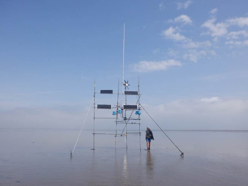 Watlas ontvanger op een wadplaat. Foto: Allert Bijleveld