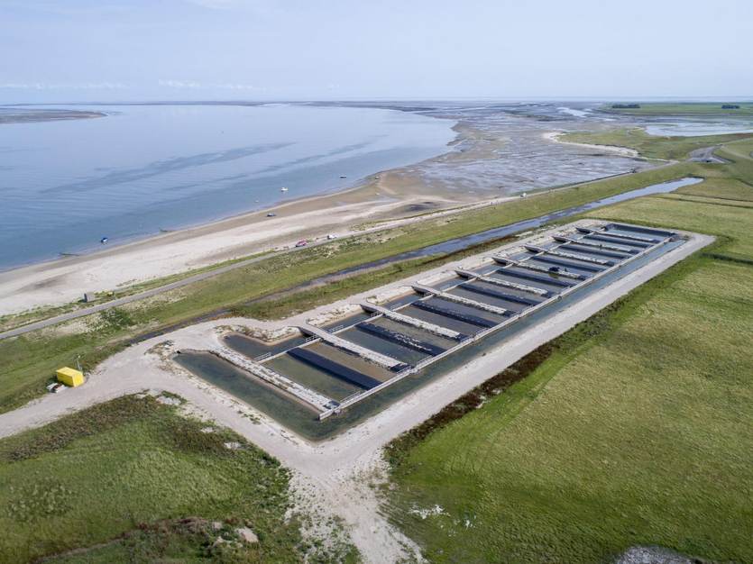 Luchtfoto van de onderzoekslocatie in de buitendijkse Polder Wassenaar op Waddeneiland Texel