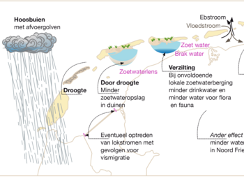 Overschotten en tekorten aan zoet water door extreem weer