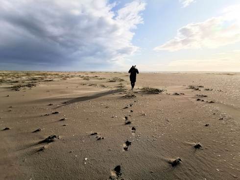 Onderzoeker op het wad. Foto:AB