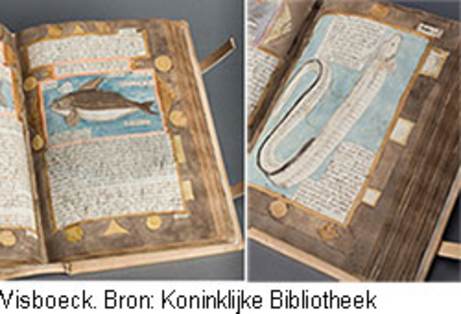 Visboeck. Bron: Koninklijke Bibiliotheek