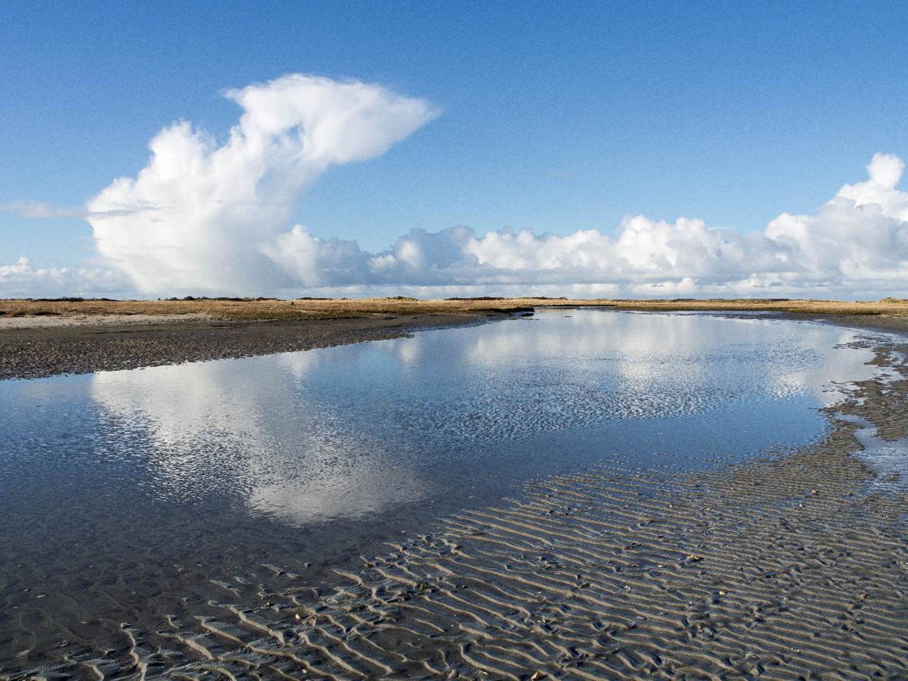 Slenk in de Waddenzee. Foto: Jan Huneman