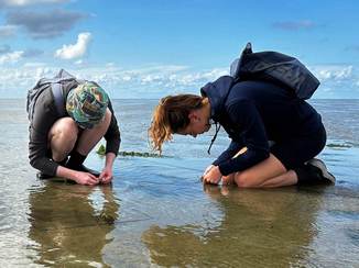 Researchers in the Wadden Sea. Foto: Laura Govers