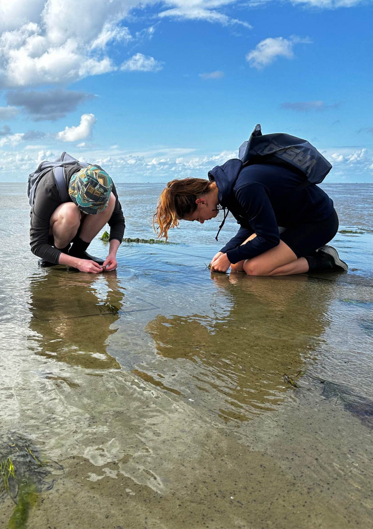 Researchers in the Wadden Sea. Foto: Laura Govers