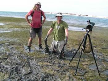 [Translate to english:] zeegrasonderzoekers in het veld (foto: NIOZ)