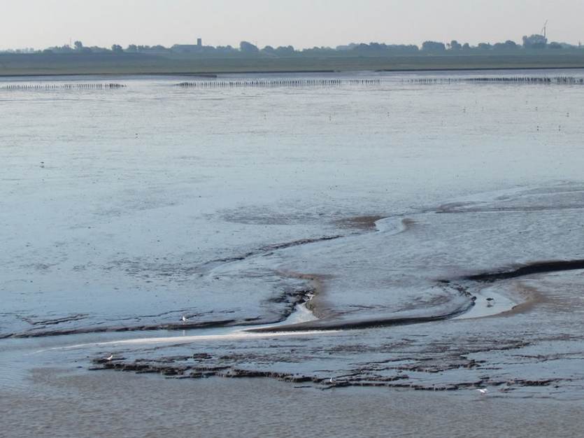 Slibhuishouding Waddenzee