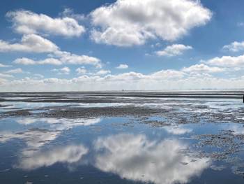 wolken spiegelen in het wad