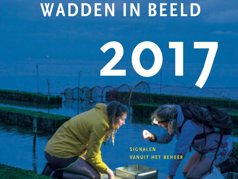 Cover Wadden in Beeld 2017