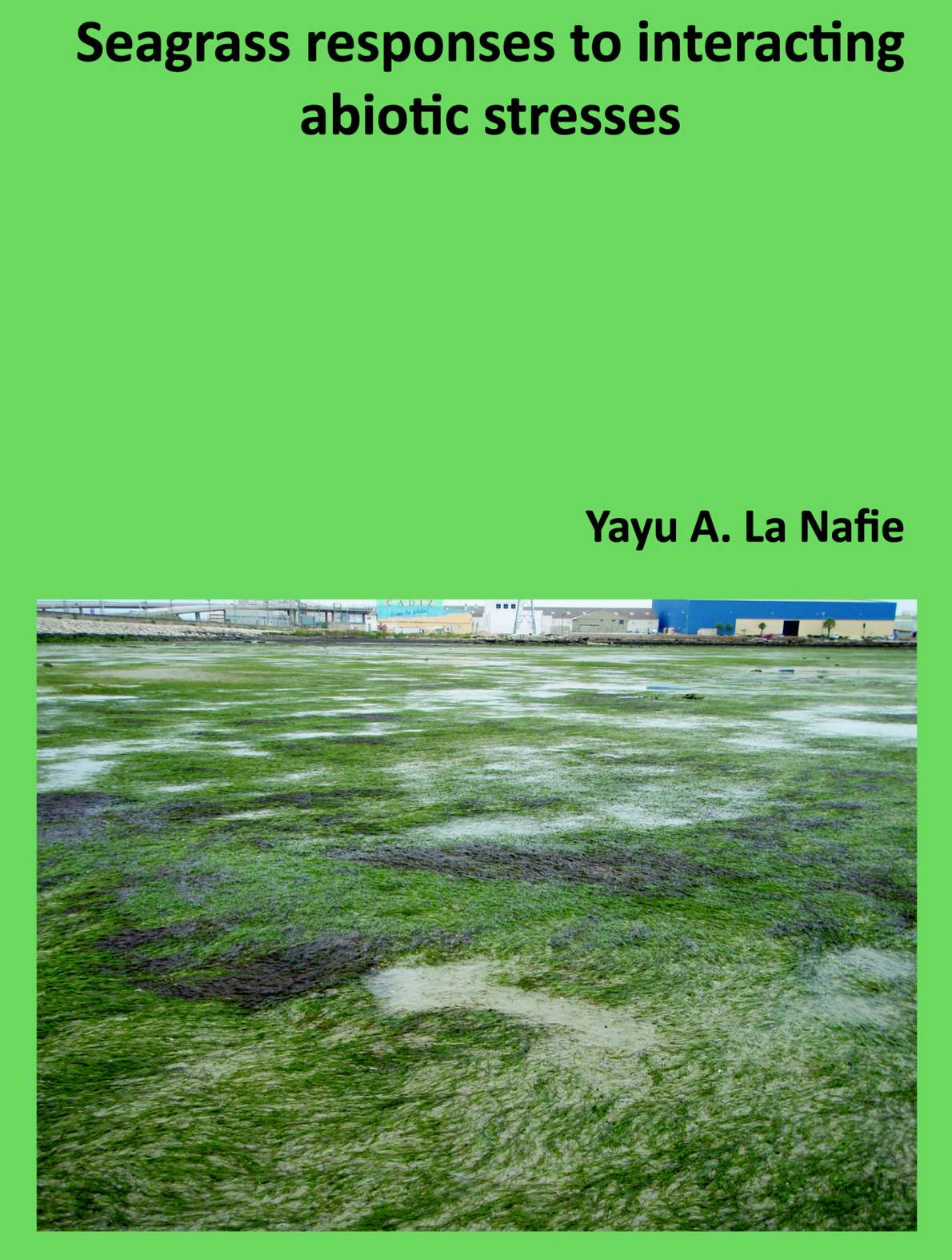 Cover thesis Yayu La Nafie