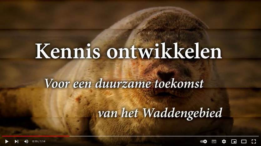 Introductiefilm Waddenacademie