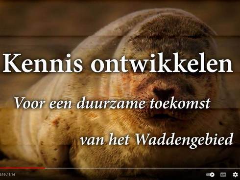 Coverbeeld introductiefilm Waddenacademie