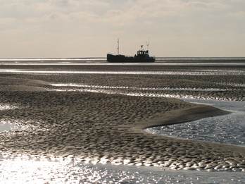 Geulen in het zandige wad met ribbels. Foto: Harry van Reeken, Beeldbank RWS
