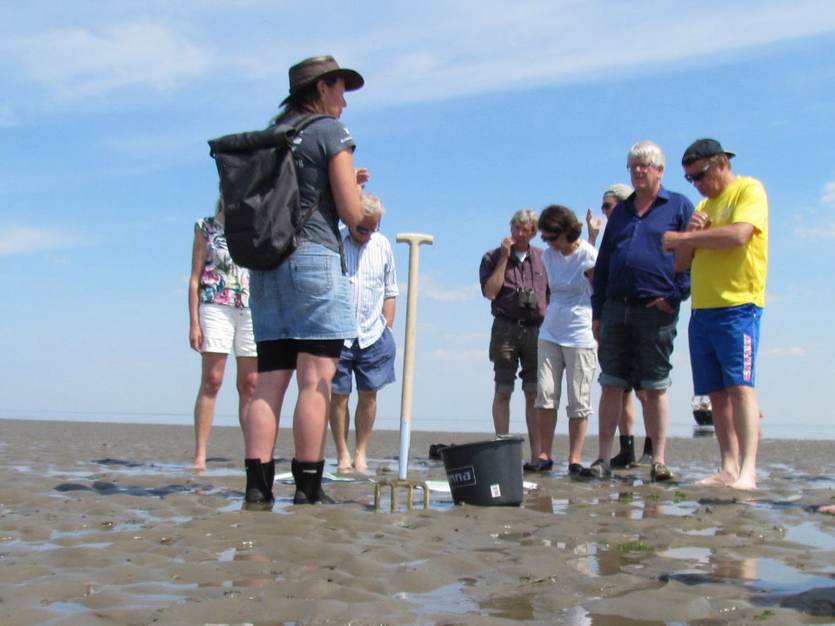 Excursie op het wad. Foto: TS