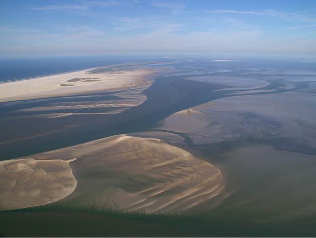 Geulen en platen in de Waddenzee. Foto: Foto Fitis-Sytske Dijksen
