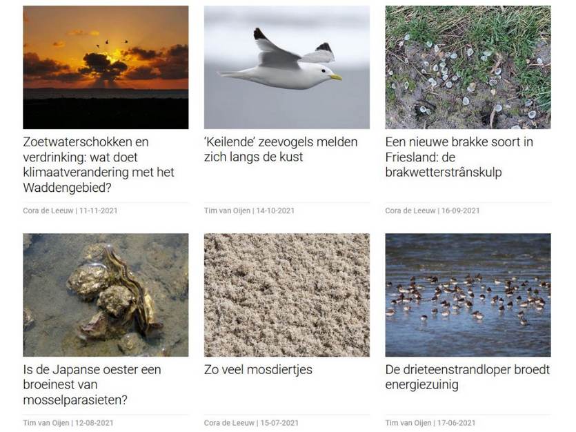 De laatste 6 WadWetens