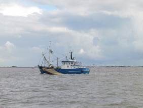 Garnalenkotter in de Waddenzee. Foto: TS