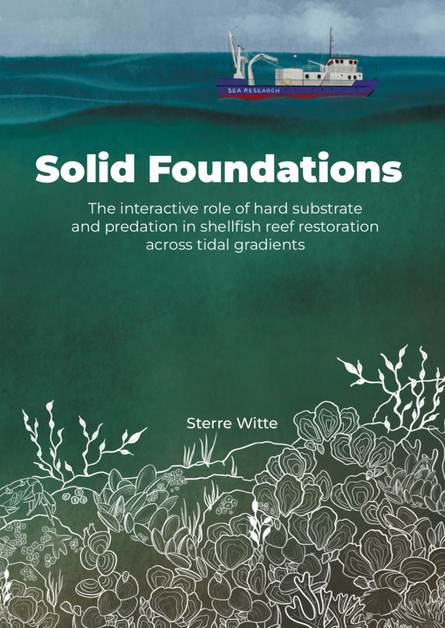 Cover thesis Sterre Witte