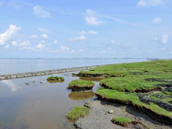 Zicht op de Eems-Dollard bij de Punt van Reide. Foto: Eems-Dollard2050