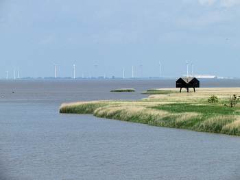 Zicht op de Eems-Dollard, vanaf Nieuw Statenzijl. Foto: TS