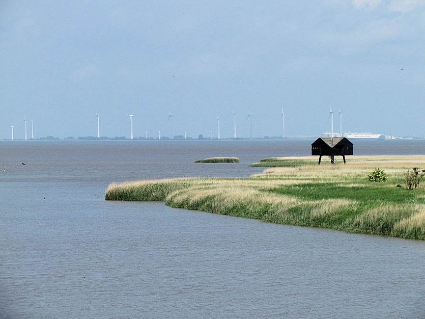 Zicht op de Eems-Dollard, vanaf Nieuw Statenzijl. Foto: TS