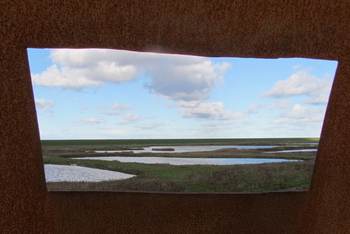 Natuurgebied Ruidhorn langs de Groningse waddenkust.