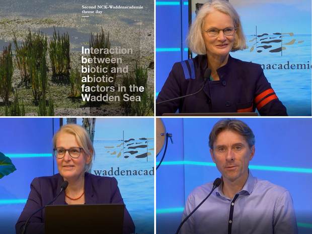 NCK-theme day about the interaction between biotic and abiotic factors in the Wadden Sea 