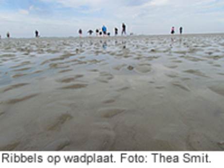 Laagje water op wadplaat. Foto: Thea Smit.