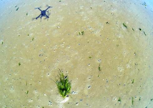 Opname van zeegraskartering met een drone. Foto: Jannes Heusinkveld.