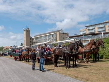 Excursie tijdens ISISA 2018 conferentie op Terschelling