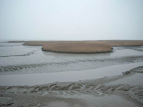 Eems-Dollard. Foto: beeldbank RWS