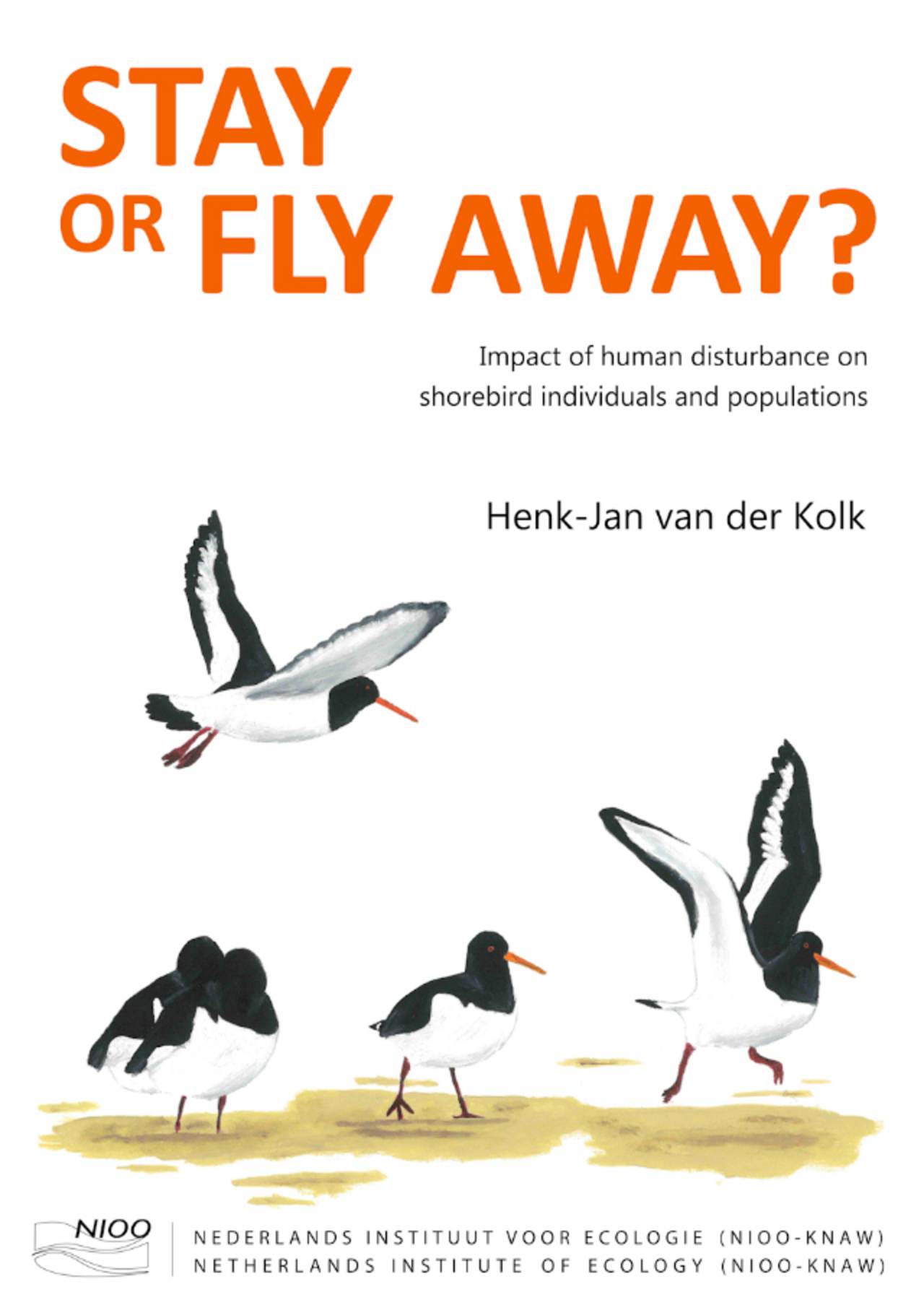 [Translate to english:] Cover thesis Henk-Jan van der Kolk