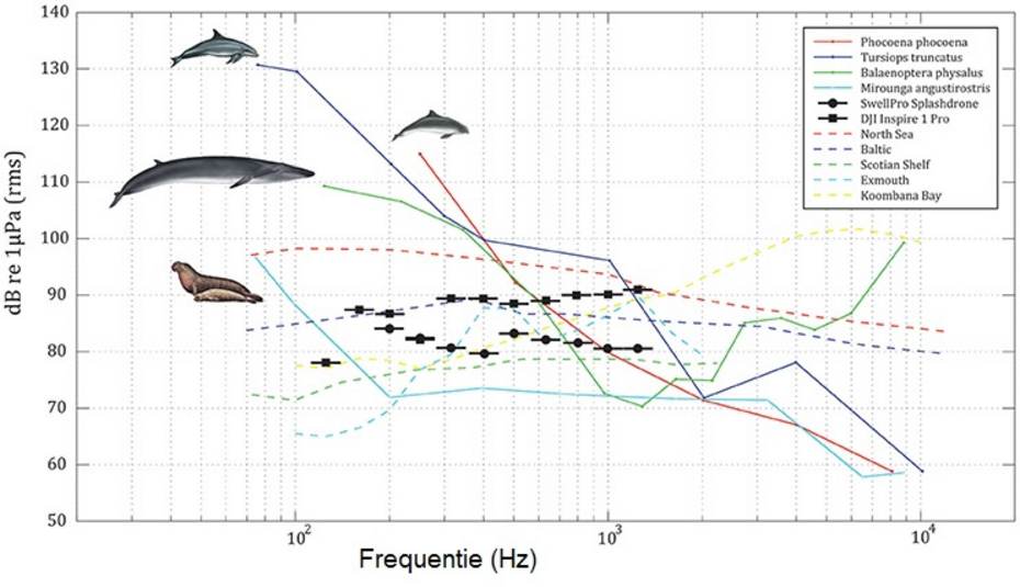 Het gehoorbereik van verschillende zeezoogdieren (Christiansen et. al 2016)