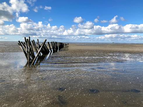 Verkeizing Waddenwoord