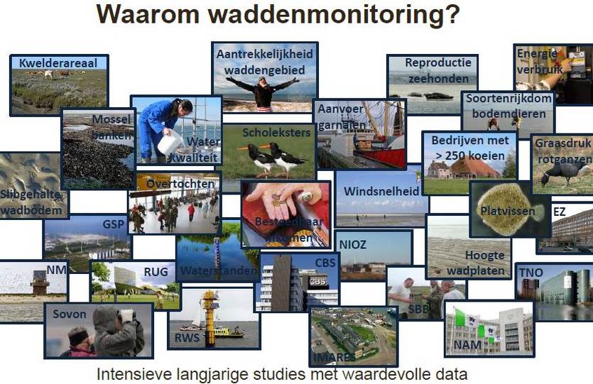 sheet uit presentatie