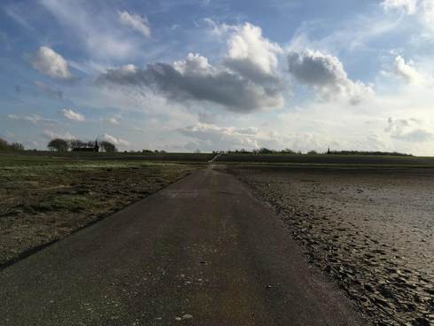 Zicht op Paesens-Moddergat. Foto: Tim Beeris