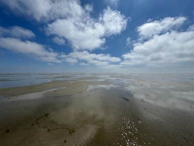 Waddenlandschap met wolkenspiegeling. Foto: TS