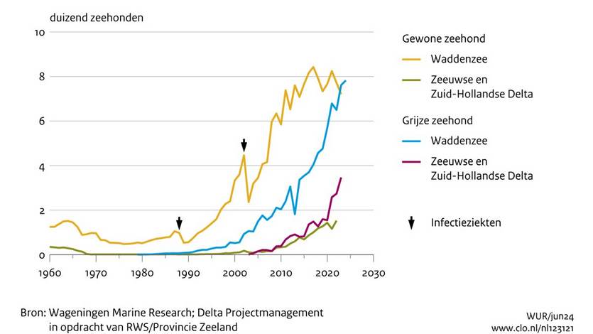 Grafiek aantal zeehonden. Bron: CLO