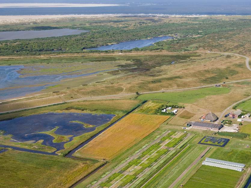 [Translate to english:] Aerial view Salt Farm Texel. Foto: Salt Farm Texel