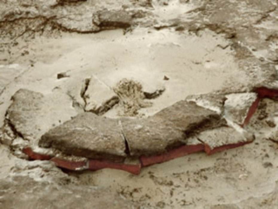 Een deels ondergestoven put op de plek van Sier, gefotografeerd in de jaren zeventig. Foto: J. Bleeker.