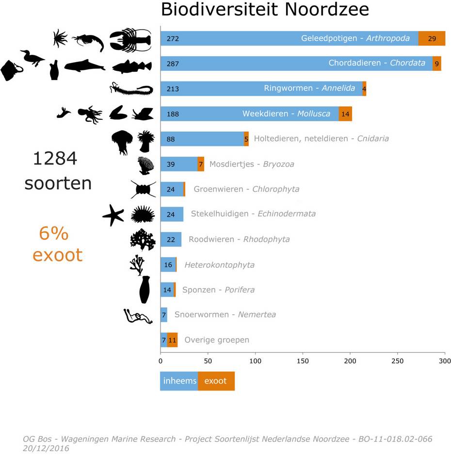 Infographic biodiversiteit Noordzee. Bron: Bos et al. Klik op de afbeelding voor een vergroting