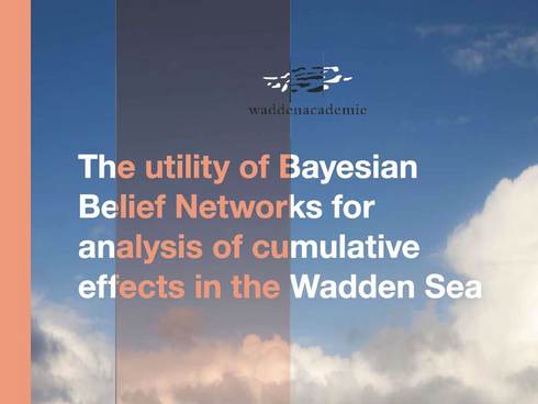 Cover rapport The utility of Bayesian Belief Networks for analysis of cumulative effects in the Wadden Sea