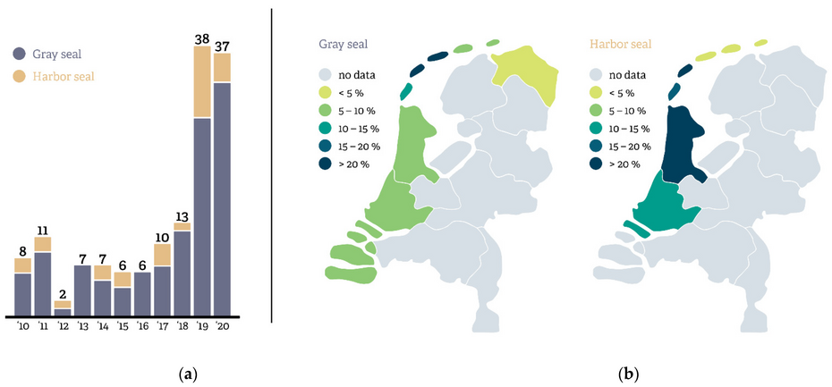 Overzicht van de jaarlijkse en geografische trends in zeehonden die verstrikt raken in afval in zee rond de Nederlandse kust