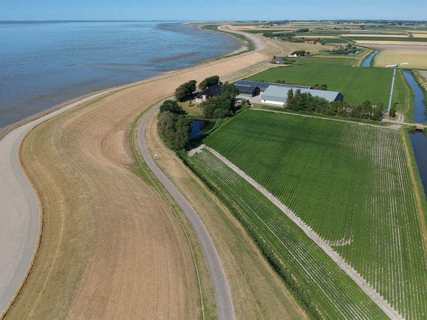 Akkerbouw achter de zeedijk in Friesland. Foto: Press4all via Pixabay