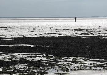 Els van der Zee aan het werk op het Wad. Foto Serena Donadi.